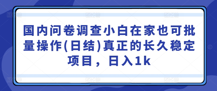 国内问卷调查小白在家也可批量操作(日结)真正的长久稳定项目，日入1k【揭秘】-知乎者也