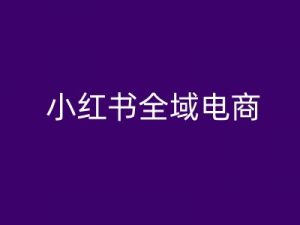 小红书全域电商,小红书电商教程-知乎者也