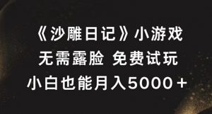 《沙雕日记》小游戏,无需露脸免费试玩,小白也能月入5000+【揭秘】-知乎者也