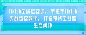 TikTok全域运营课,手把手TikTok实战运营教学,打造带货全链路生态闭环-知乎者也