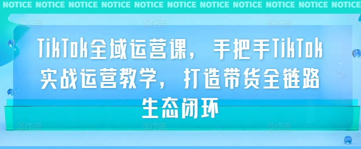 TikTok全域运营课,手把手TikTok实战运营教学,打造带货全链路生态闭环-知乎者也