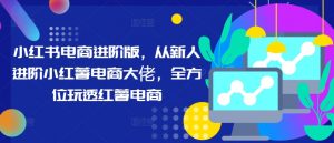 小红书电商进阶版,从新人进阶小红薯电商大佬,全方位玩透红薯电商-知乎者也