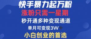 快手暴力起万粉,涨粉只需一星期,多种变现模式,直接秒开万合,单月变现过W【揭秘】-知乎者也