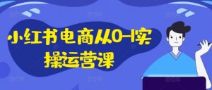 小红书电商从0-1实操运营课，小红书手机实操小红书/IP和私域课/小红书电商电脑实操板块等-知乎者也