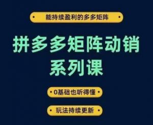 拼多多矩阵动销系列课，能持续盈利的多多矩阵，0基础也听得懂，玩法持续更新-知乎者也
