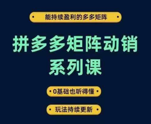 拼多多矩阵动销系列课，能持续盈利的多多矩阵，0基础也听得懂，玩法持续更新-知乎者也