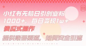 小红书无脑每日引流创业粉500+，小白每天只花半小时，躺赚长尾收益【揭秘】-知乎者也