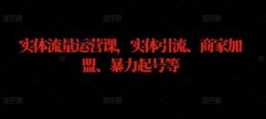 实体流量运营课,实体引流、商家加盟、暴力起号等-知乎者也