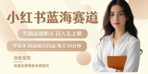 小红书蓝海赛道，圈中高端职场人，月入无上限，可矩阵，内含私域实操教程!-知乎者也