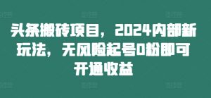 头条搬砖项目,2024内部新玩法,无风险起号0粉即可开通收益-知乎者也