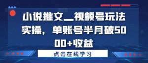 小说推文—视频号玩法实操,单账号半月破5000+收益-知乎者也