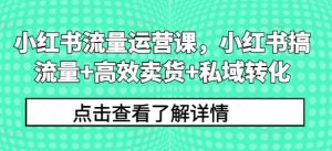小红书流量运营课,小红书搞流量+高效卖货+私域转化-知乎者也