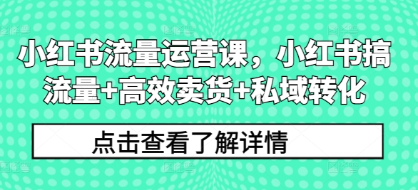 小红书流量运营课,小红书搞流量+高效卖货+私域转化-知乎者也
