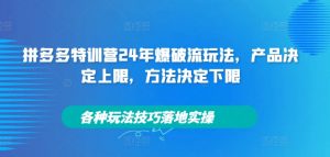 拼多多特训营24年爆破流玩法，产品决定上限，方法决定下限，各种玩法技巧落地实操-知乎者也
