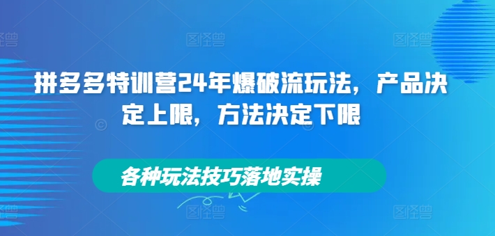 拼多多特训营24年爆破流玩法，产品决定上限，方法决定下限，各种玩法技巧落地实操-知乎者也