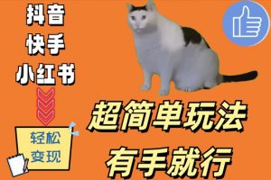 超简单玩法,有手就行,靠猫咪视频日入500+【揭秘】-知乎者也
