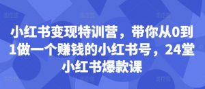 小红书变现特训营,带你从0到1做一个赚钱的小红书号,24堂小红书爆款课-知乎者也