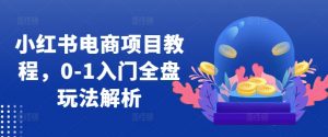 小红书电商项目教程，0-1入门全盘玩法解析-知乎者也