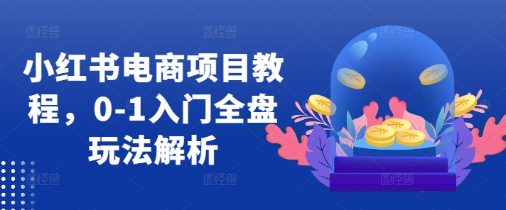 小红书电商项目教程，0-1入门全盘玩法解析-知乎者也
