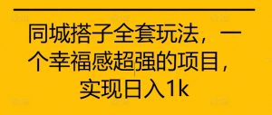 同城搭子全套玩法,一个幸福感超强的项目,实现日入1k【揭秘】-知乎者也