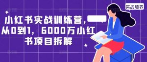 小红书实战训练营,从0到1,6000万小红书项目拆解-知乎者也