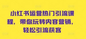 小红书运营热门引流课程,带你玩转内容营销,轻松引流获客-知乎者也