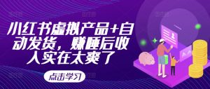 小红书虚拟产品+自动发货,赚睡后收入实在太爽了-知乎者也