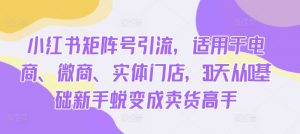 小红书矩阵号引流,适用于电商、微商、实体门店,30天从0基础新手蜕变成卖货高手-知乎者也