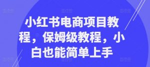 小红书电商项目教程,保姆级教程,小白也能简单上手-知乎者也