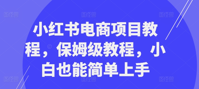 小红书电商项目教程,保姆级教程,小白也能简单上手-知乎者也