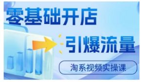 淘宝电商视频实操课,零基础开店,引爆流量-知乎者也