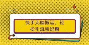 快手无脑搬运,轻松引流宝妈粉,纯小白轻松上手【揭秘】-知乎者也