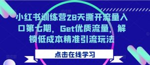 小红书训练营28天撕开流量入口第七期,Get优质流量,解锁低成本精准引流玩法-知乎者也