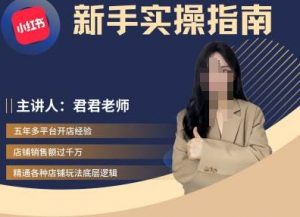 君君-小红书电商从入门到精通,新手实操指南-知乎者也