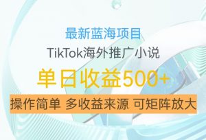 最新蓝海项目,利用tiktok海外推广小说赚钱佣金,简单易学,日入500+,可矩阵放大【揭秘】-知乎者也