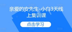 亲爱的安先生-小白3天线上集训课-知乎者也