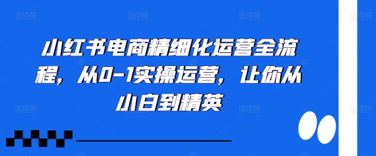 小红书电商精细化运营全流程,从0-1实操运营,让你从小白到精英-知乎者也