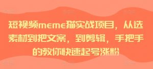 短视频meme猫实战项目,从选素材到把文案,到剪辑,手把手的教你快速起号涨粉-知乎者也