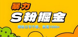 单人单机日引千粉,变现1k+,S粉流量掘金计划攻略【揭秘】-知乎者也