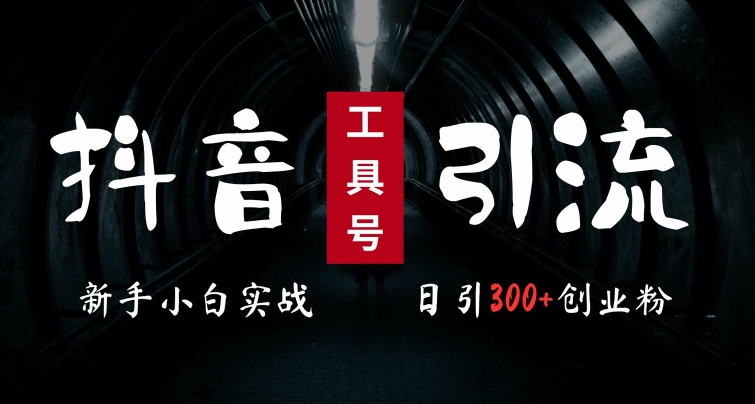 2024最新抖音工具号引流玩法,高效日引300+创业粉,当天变现5k,小白也可成为实战高手-知乎者也