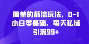 简单的截流玩法，0-1小白零基础，每天私域引流99+【揭秘】-知乎者也