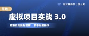 虚拟项目实战3.0,打造自动盈利店铺,可长期操作投入低,新手也能操作-知乎者也