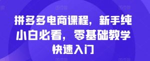 拼多多电商课程,新手纯小白必看,零基础教学快速入门-知乎者也