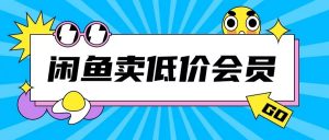 外面收费998的闲鱼低价充值会员搬砖玩法号称日入200+-知乎者也