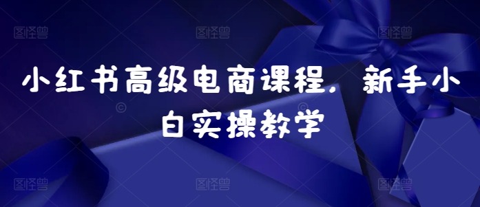 小红书高级电商课程,新手小白实操教学-知乎者也