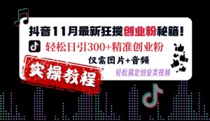 抖音11月最新狂揽创业粉秘籍,轻松日引300+精准创业粉,仅需图片+音频,轻松搞定创业类视频-知乎者也