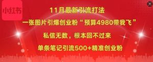 小红书11月最新图片打粉,一张图片引爆创业粉,“预算4980带我飞”,单条引流500+精准创业粉-知乎者也