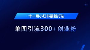 十一月小红书最新打法,单图引流300+创业粉【揭秘】-知乎者也