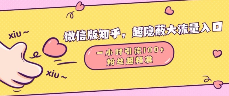 微信版知乎,超隐蔽流量入口1小时引流100人,粉丝质量超高【揭秘】-知乎者也