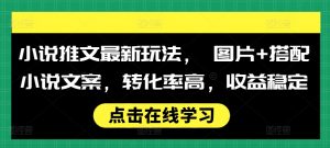 小说推文最新玩法， 图片+搭配小说文案，转化率高，收益稳定-知乎者也